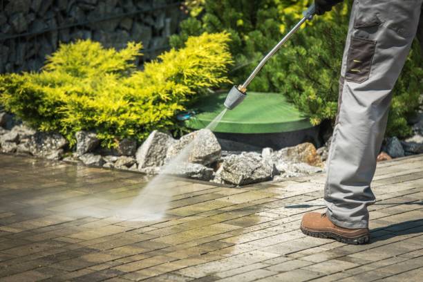 Best Roof Washing  in Williamsburg, FL