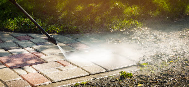 Best Gutter Cleaning  in Williamsburg, FL